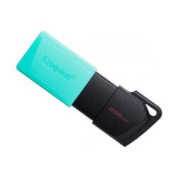 Флеш-накопичувач 256 GB Kingston